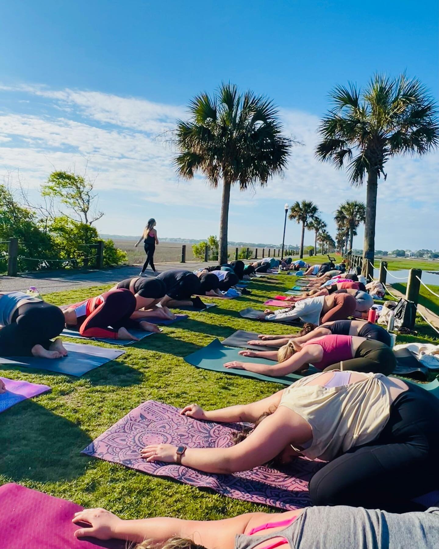 Rise &amp; Shine 🌞

What is FREEDOM? What is this studio all about? Experience it for yourself! Are you signed up for one of our May Pop Ups?

Saturday May 20th | 9AM | Meet the Team Beach Workout on Sullivans Island! Yoga, Sculpt, &amp; Dance follo