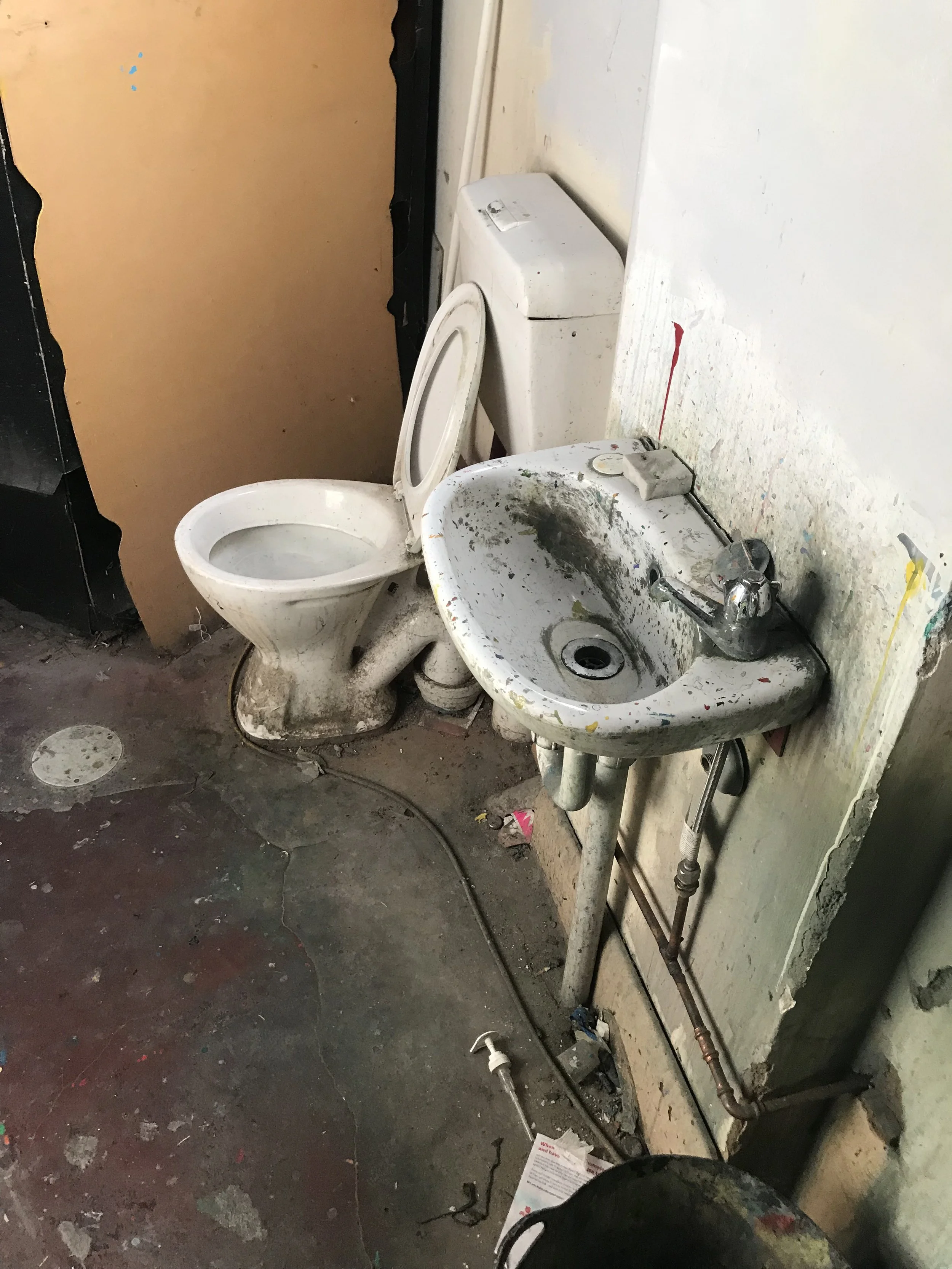 toilet before 2.jpeg