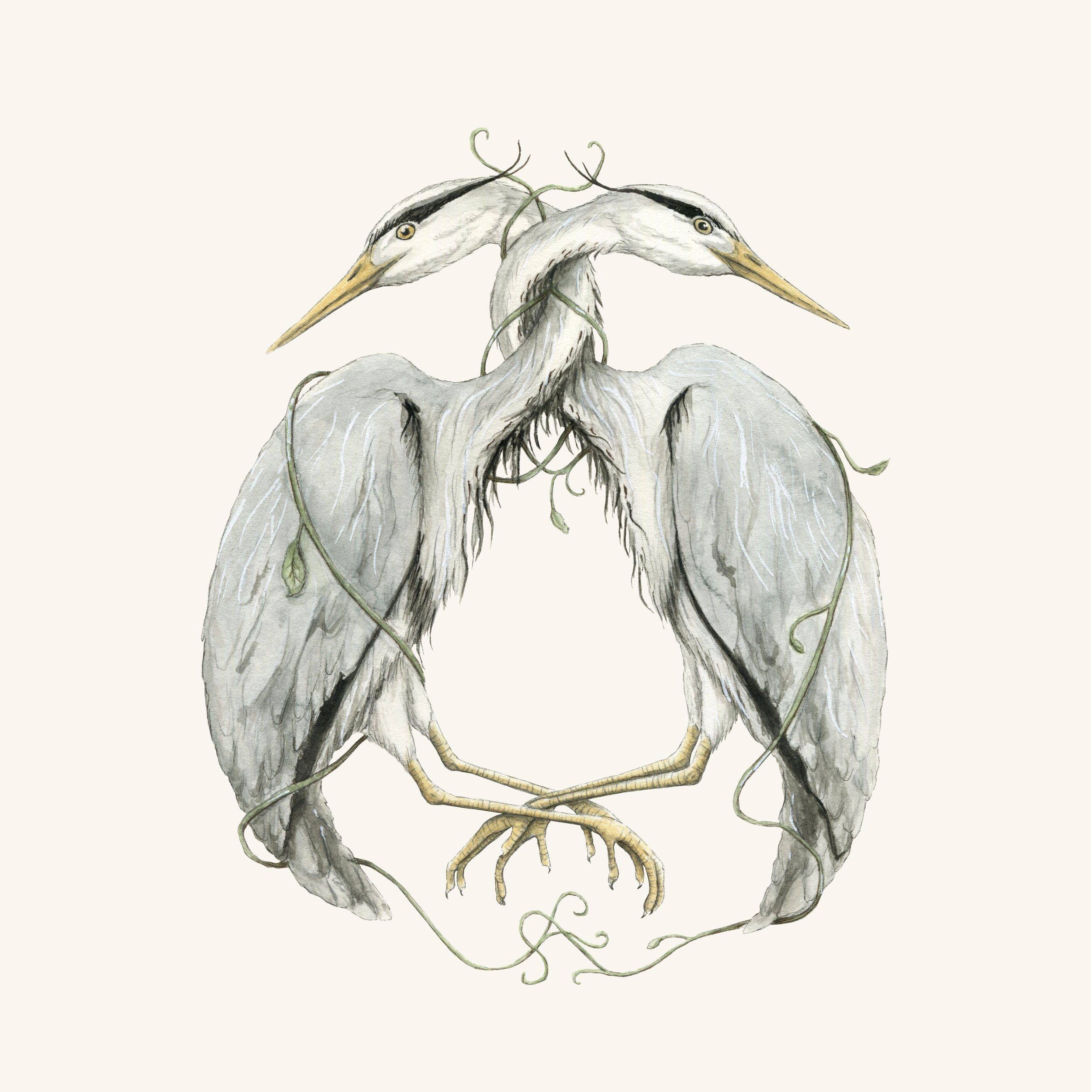Herons_with_background.jpg