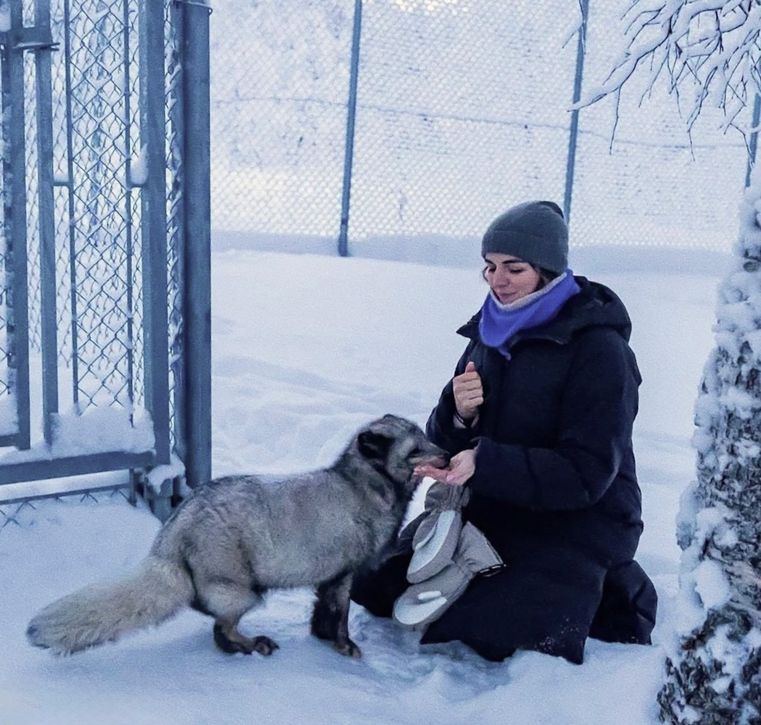 Postcard from Rachel