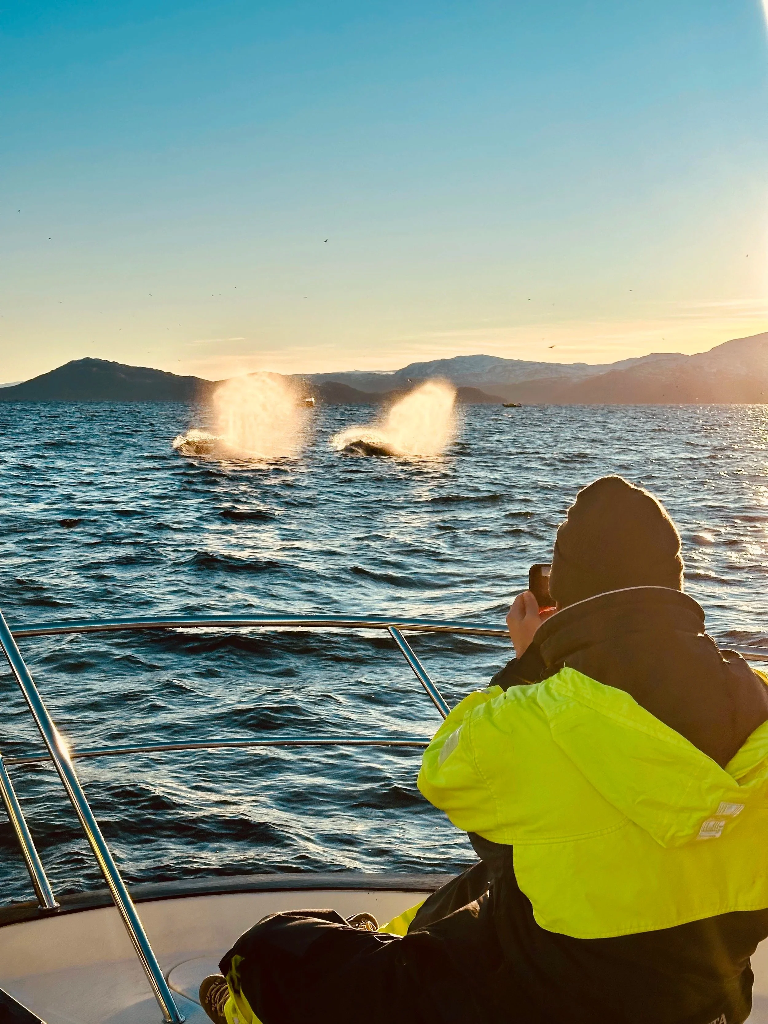 A person on a boat photographing whales spouting water in the distance.
