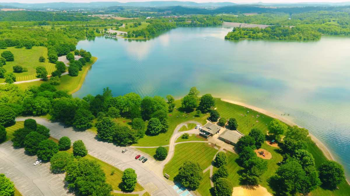 Blue Marsh Lake