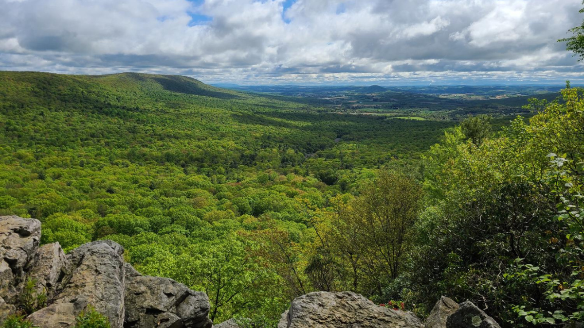 Hawk Mountain Sanctuary