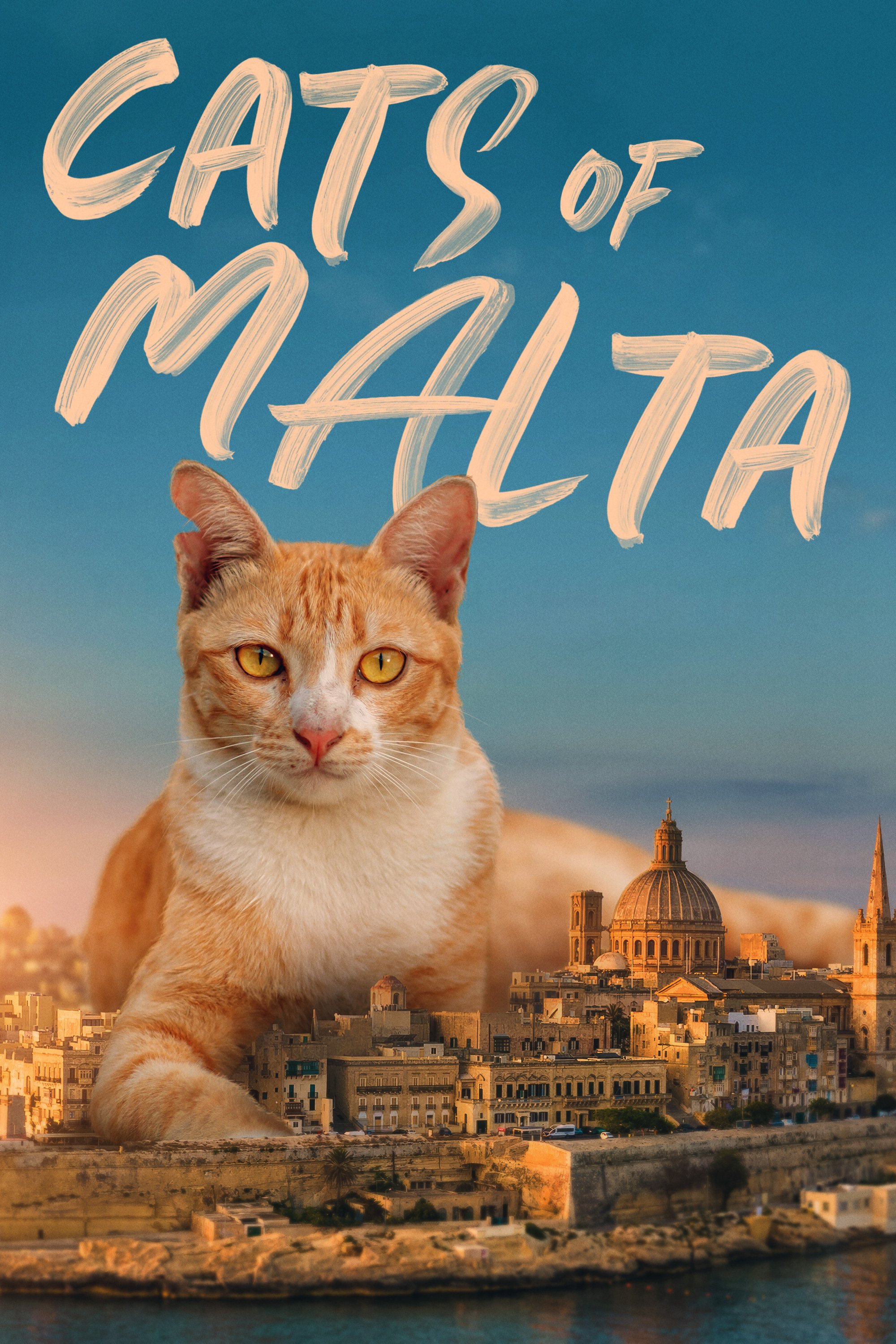 CatsOfMalta_KeyArt_18_2000x3000.jpg
