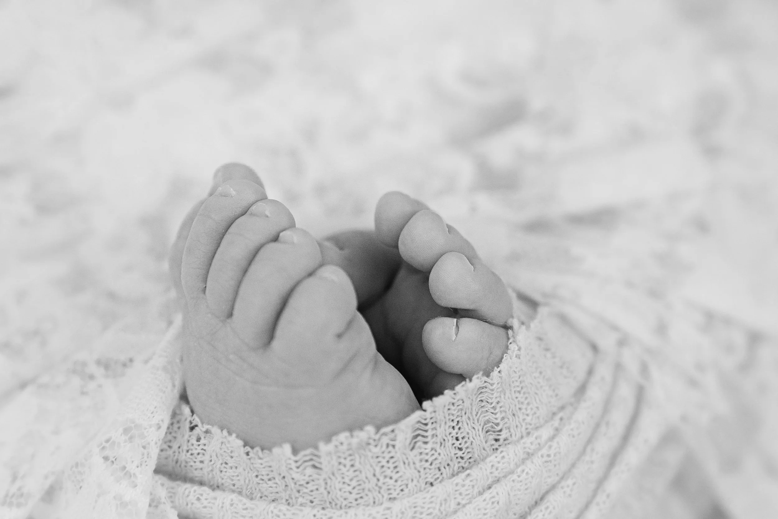 A close-up of a baby's tiny hands clasped together, wrapped in a soft, lace blanket.