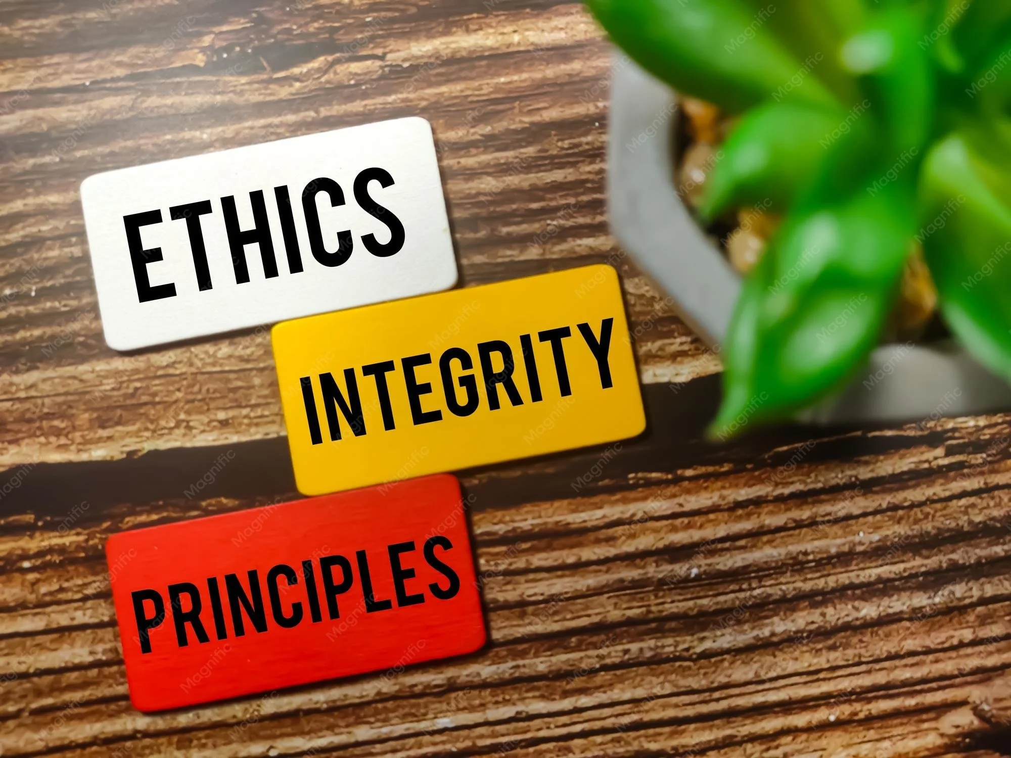 Introducing pioneers in psychology and ethical issues