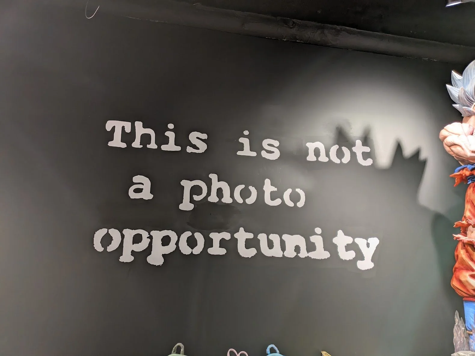 PXL_20241228_205831389.jpg