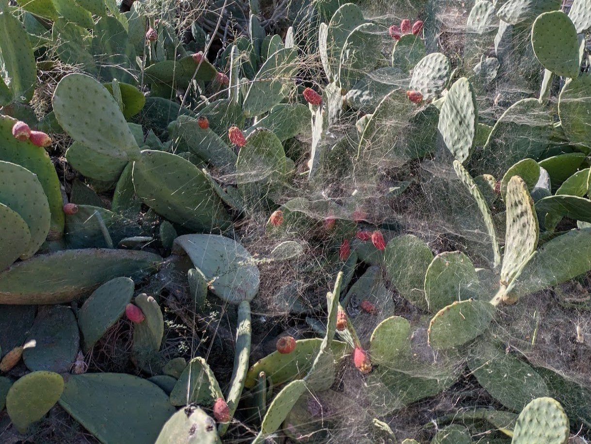 PXL_20250114_111846905.jpg