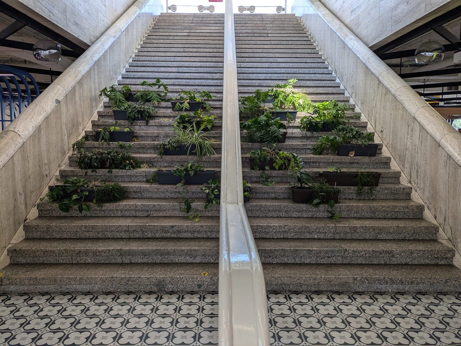 Flowers on steps in shopping mall at Bratislava