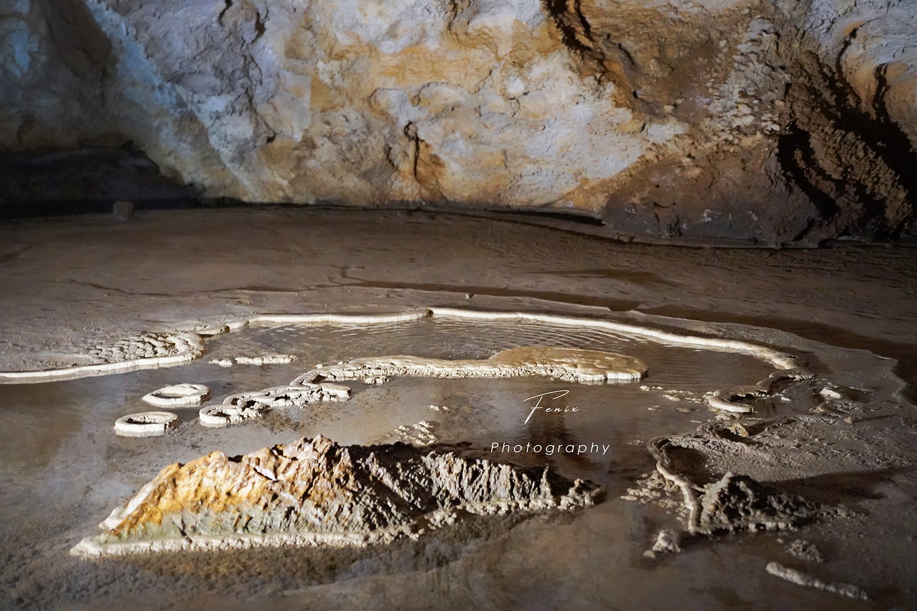 VLP07614.jpg