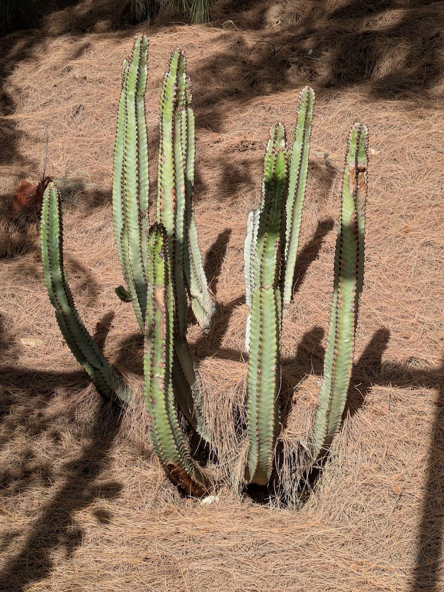 PXL_20250115_112056588.jpg