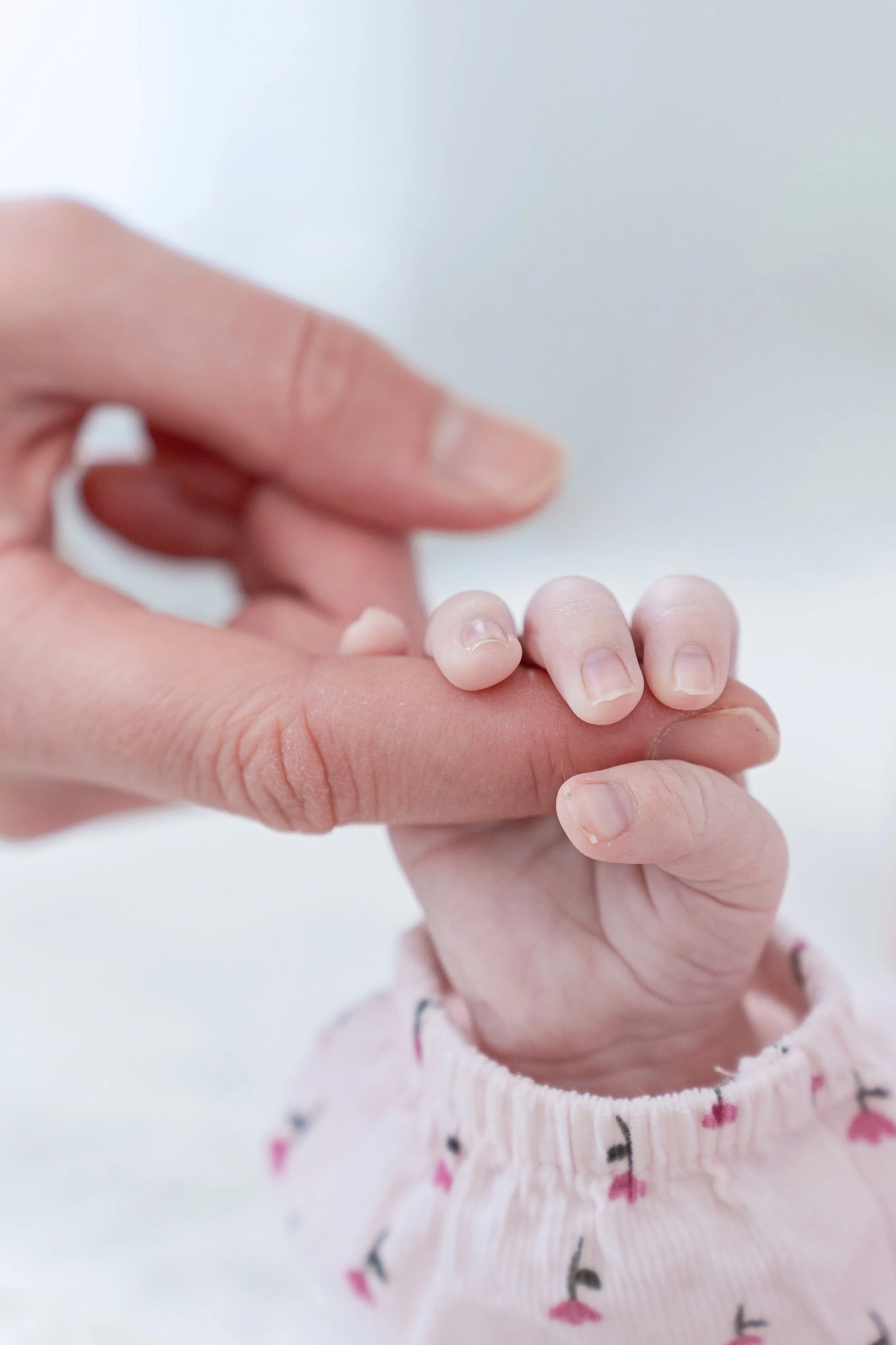 Close-up of an adult hand holding a baby's hand with a whitish background.