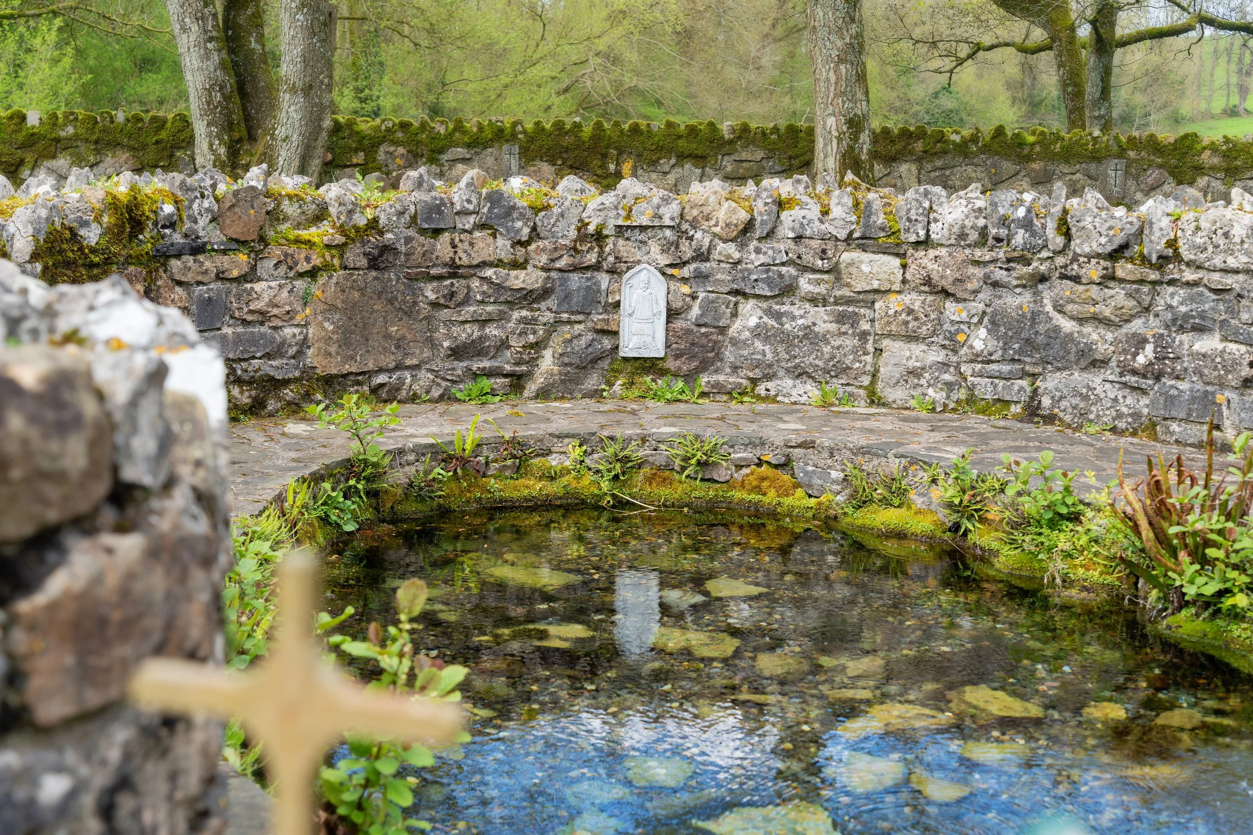 St Patricks well, Clonmel,