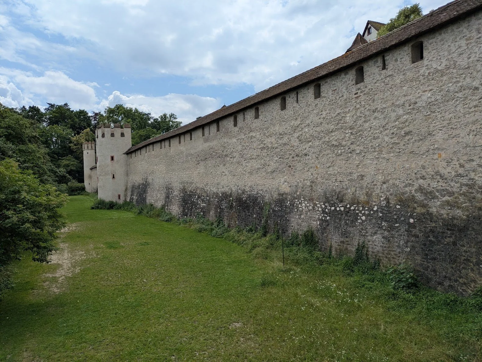 PXL_20250616_112324935.MP.jpg