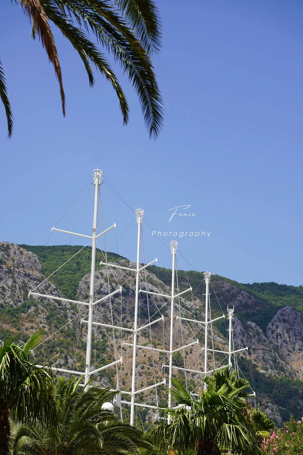 VLP07484.jpg