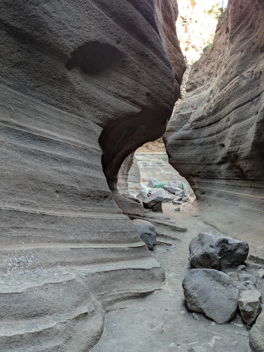 PXL_20250114_163836934.jpg