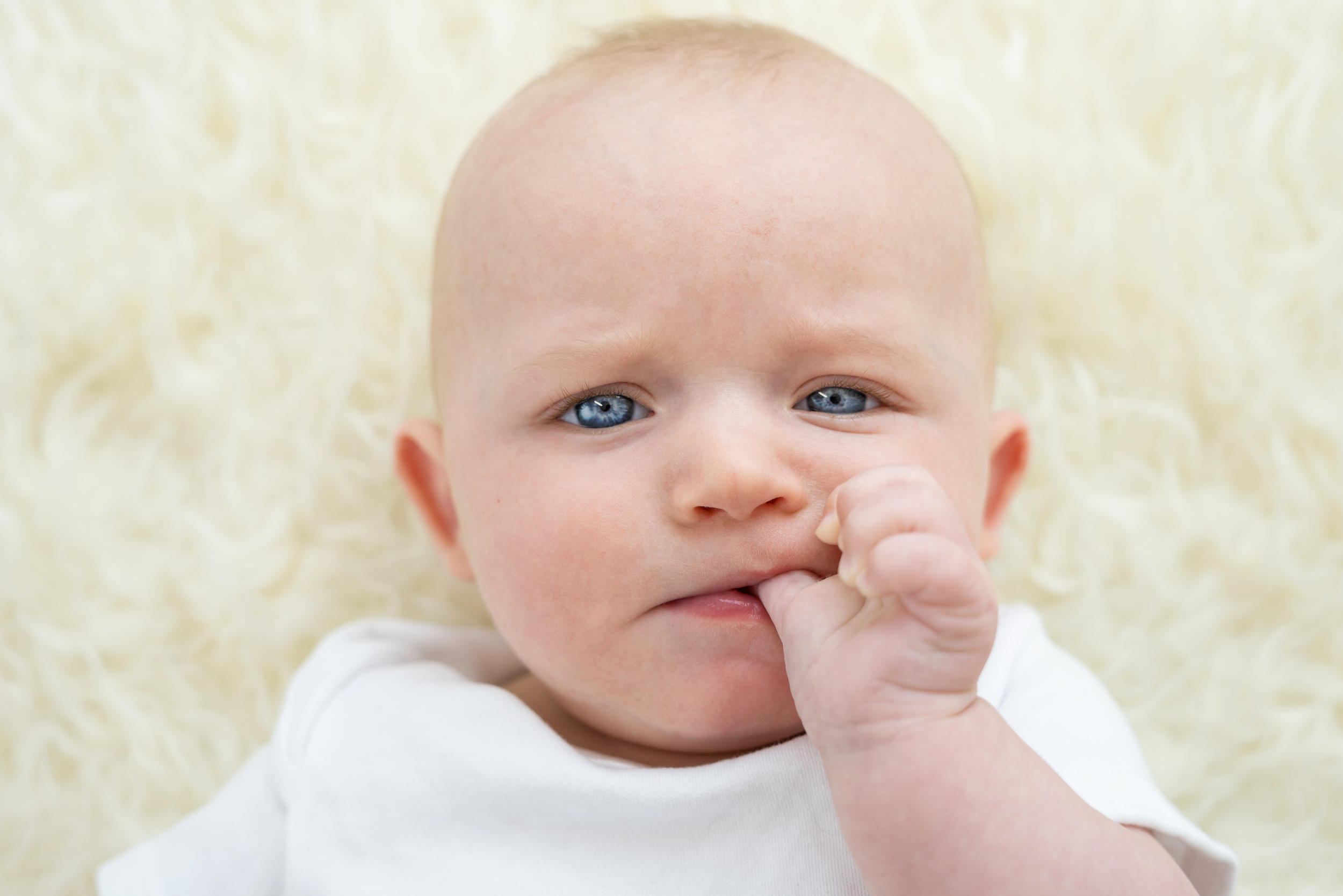 Close-up of a baby with blue eyes, sucking thumb, lying on a fluffy cream-colored blanket.