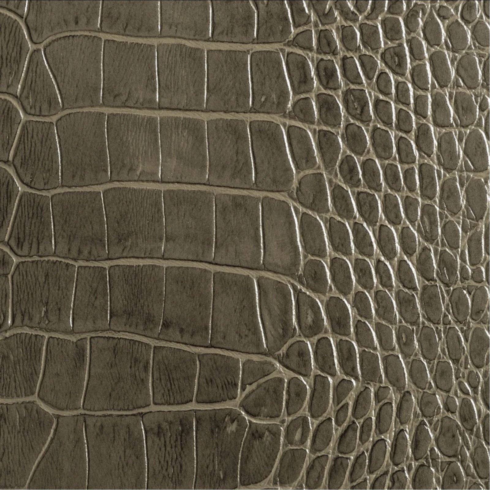 Antique Grey Crocodile.png