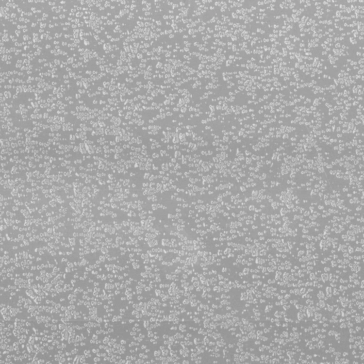 Powder Coat Fog Chip.jpg