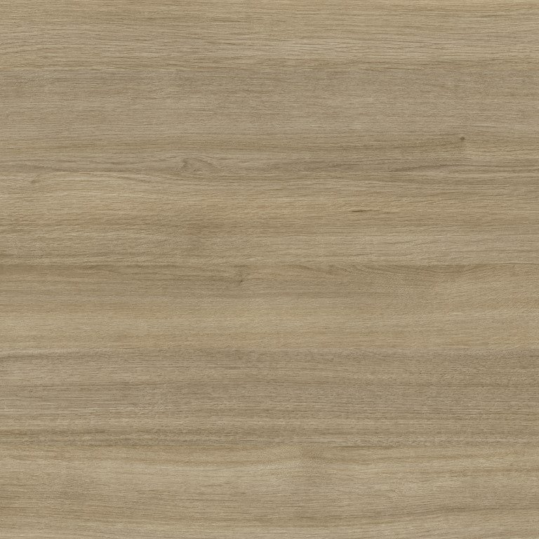 The Chameleon Oak.jpg