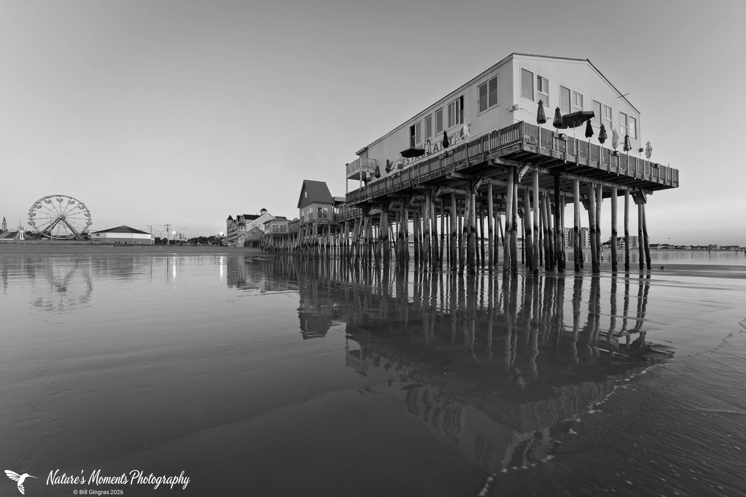 2026-09-12 Landscapes The Pier B & W OOB  ME -1.jpg