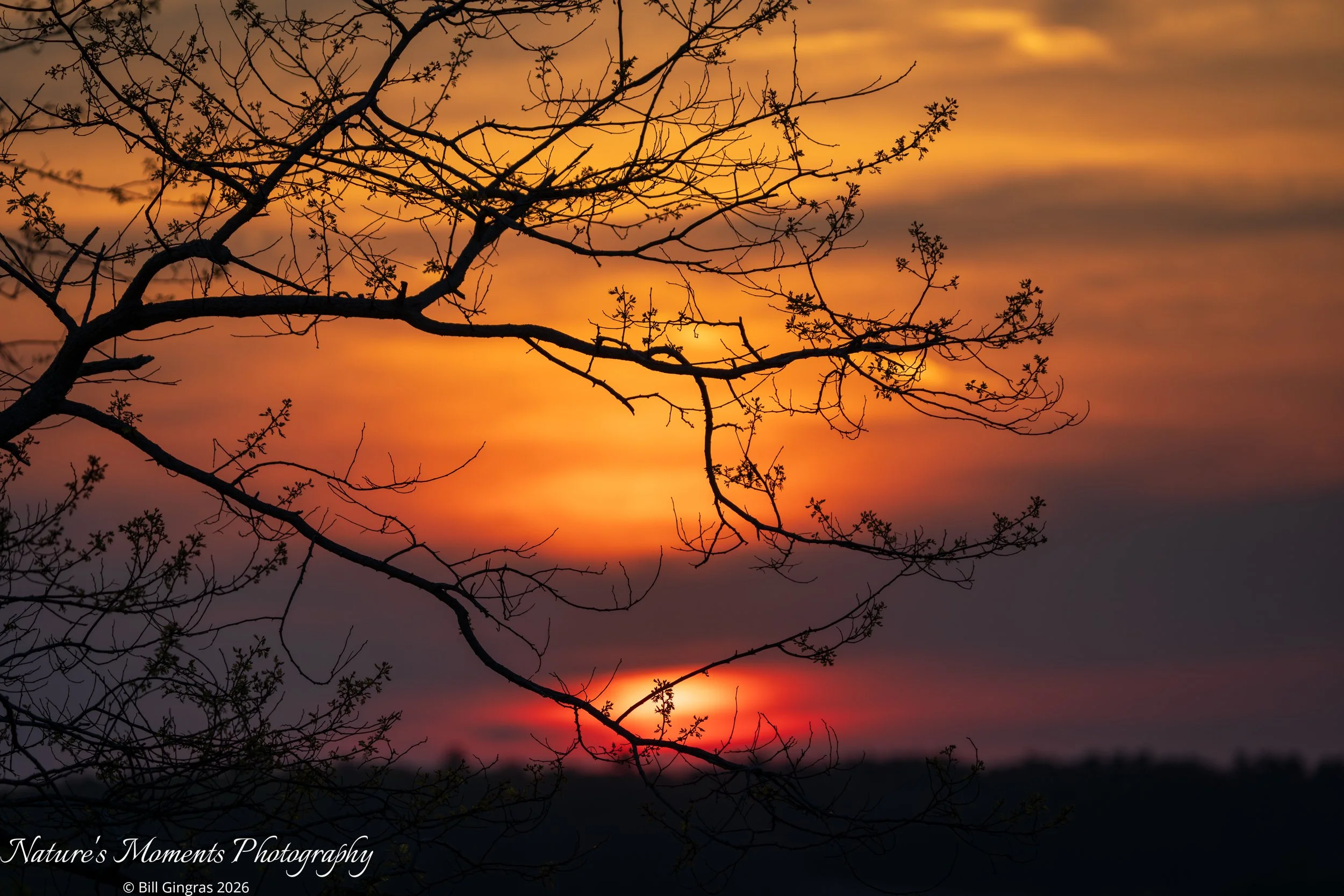 2026-05-19 Landscapes Sunscapes The Marsh ME-1.jpg