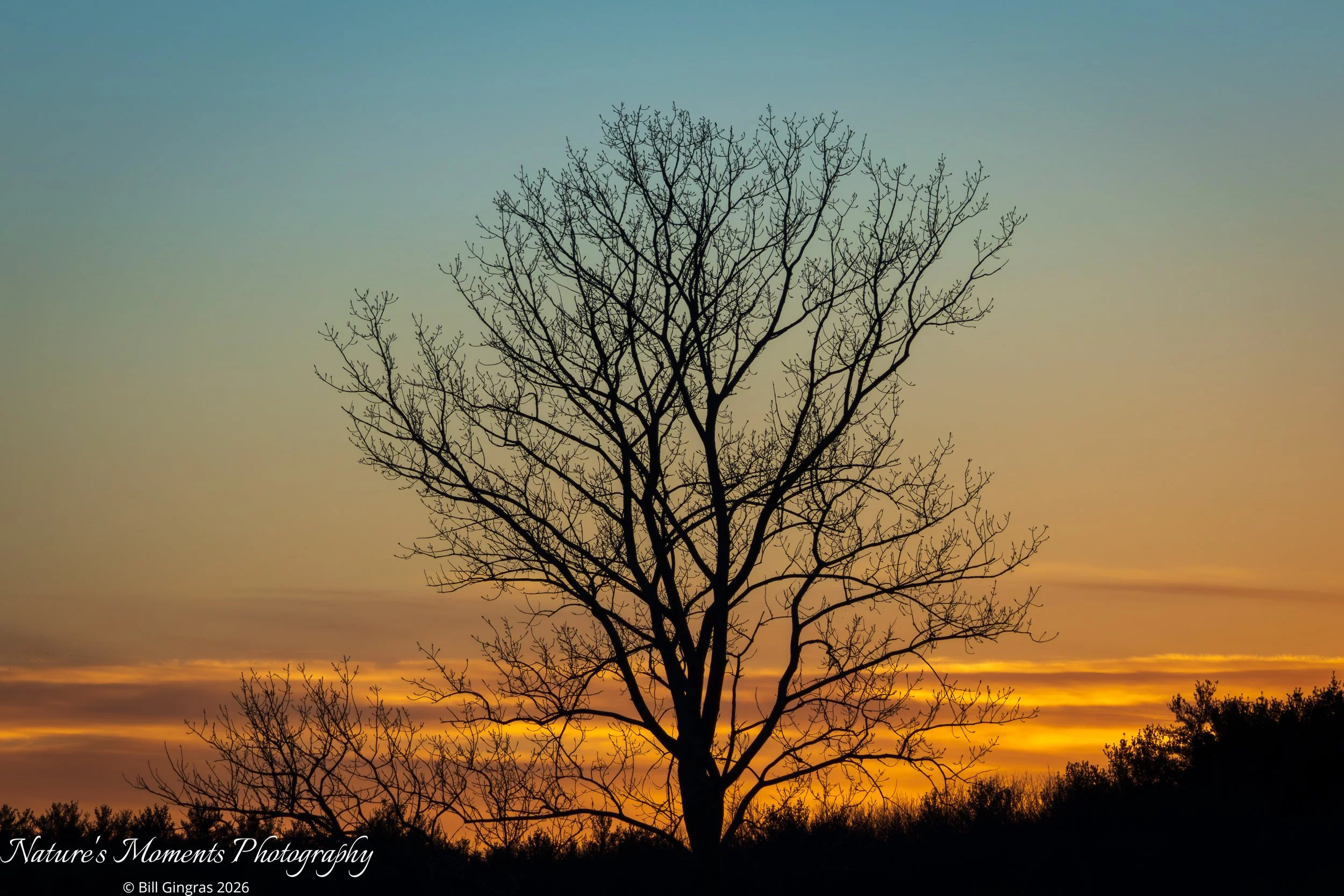 2025-12-22 Landscapes Sunscapes Cumberland IBA MA-1.jpg