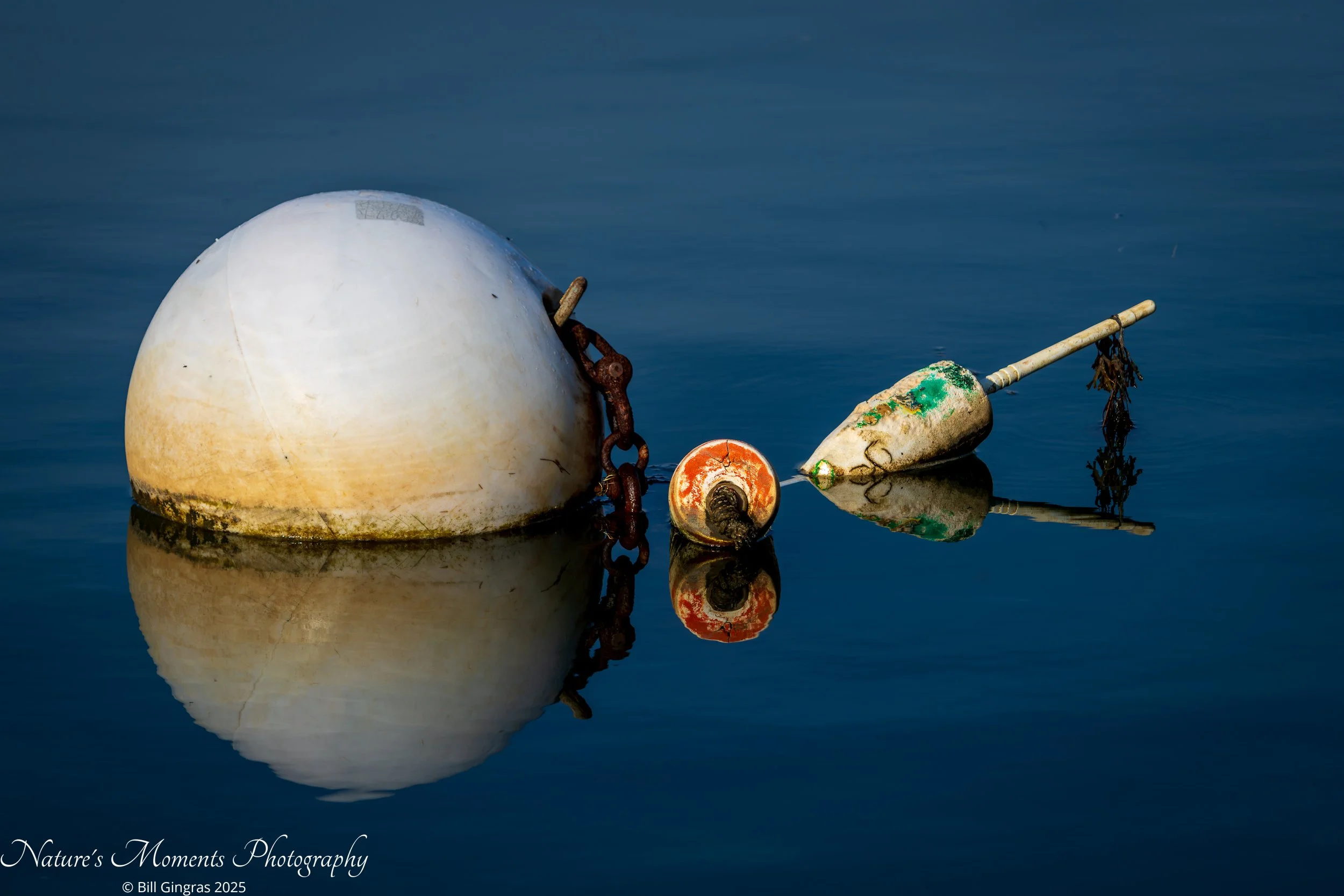 2025-10-17 Landscapes Coastal Camp Ellis-1.jpg