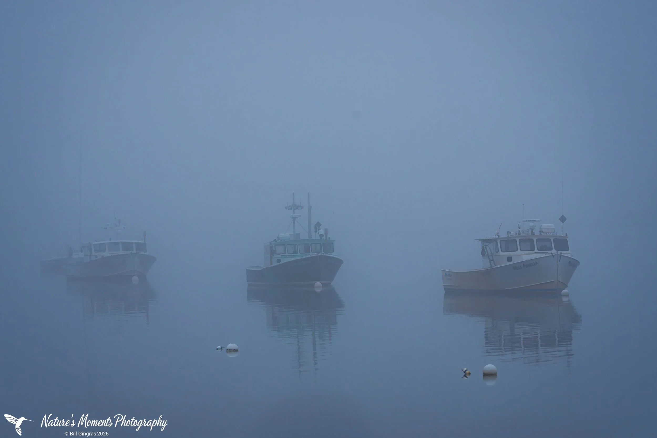 2026-06-28 Landscapes Coastal Three Ships in Fog Pine Point ME-1.jpg