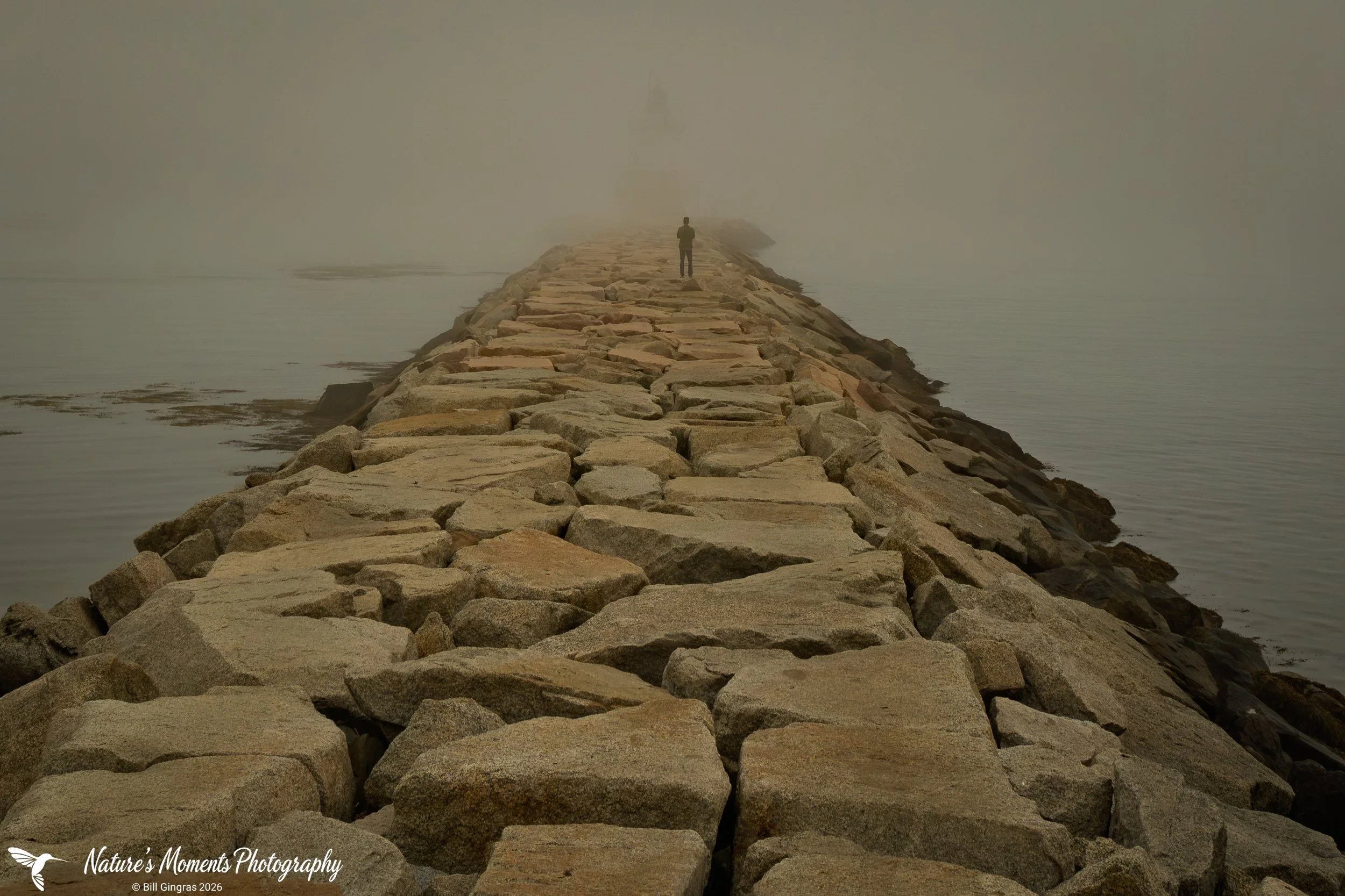 2026-08-18 Landscapes Coastal Into the Mist Spring Point Ledge ME-1.jpg