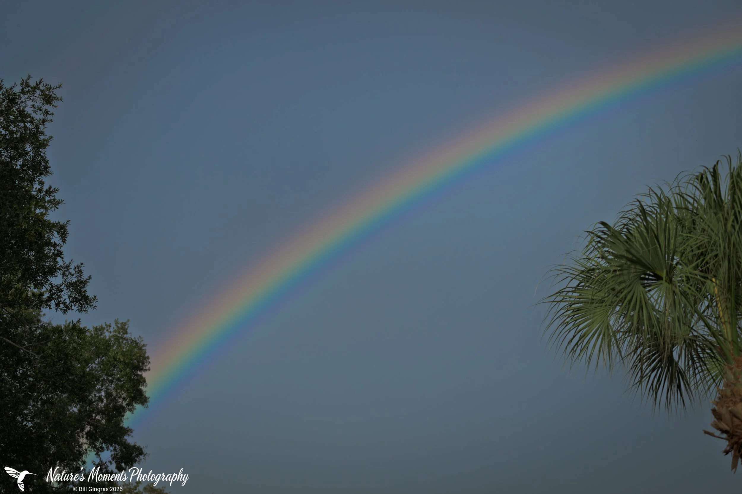2026-10-19 Landscapes Apopka Rainbow FL-1.jpg