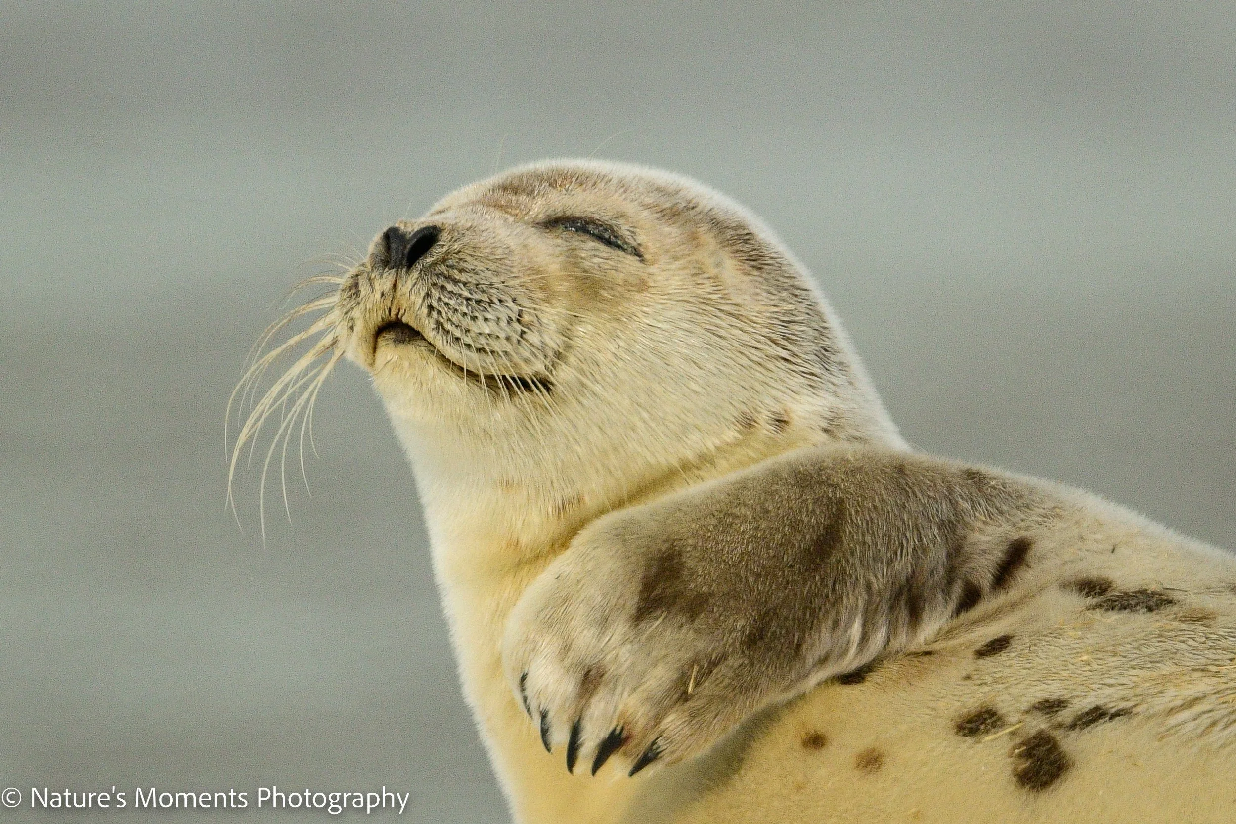 Wildlife-206.jpg