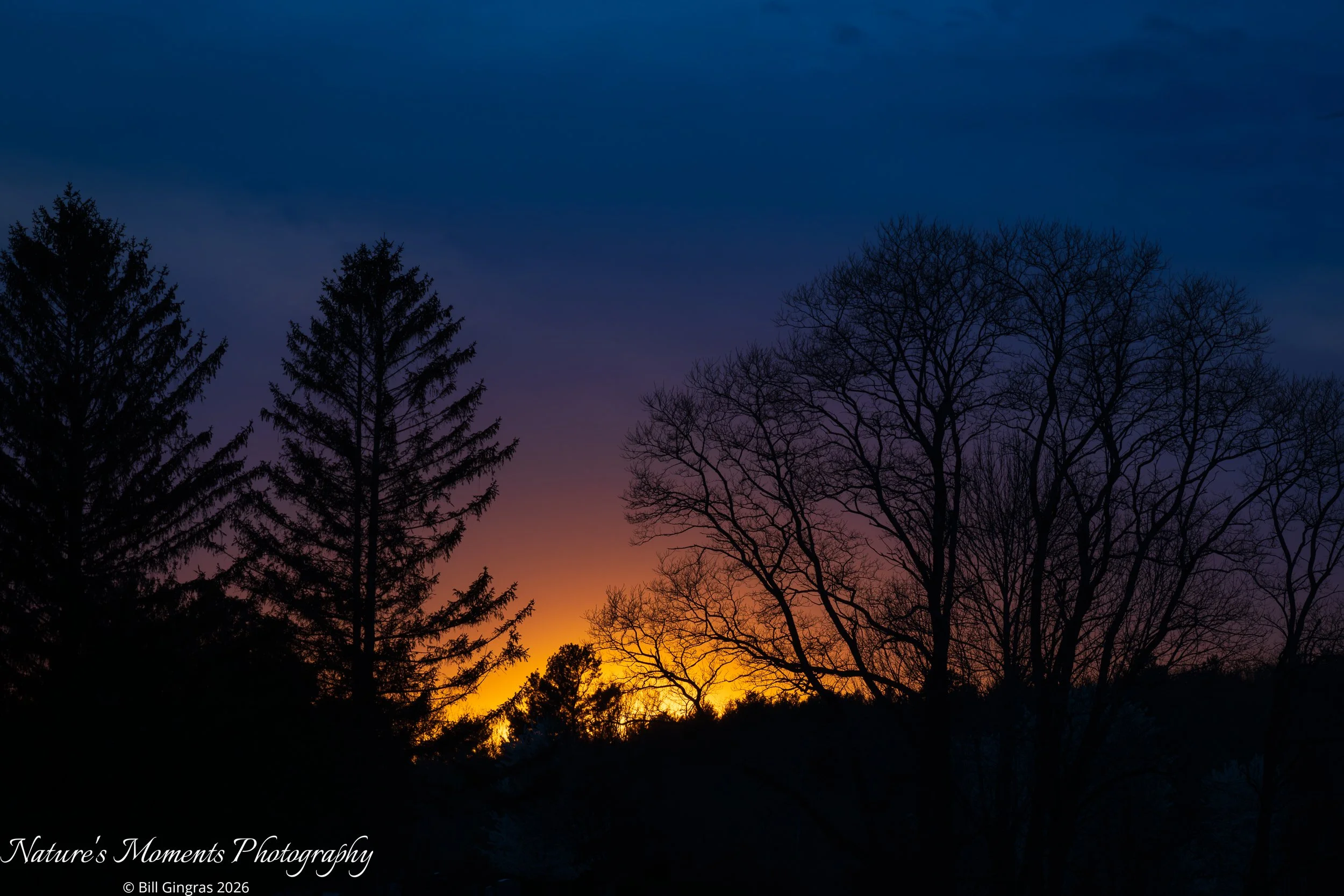 2026-04-28 Landscapes Sunscapes Charlton MA-1.jpg