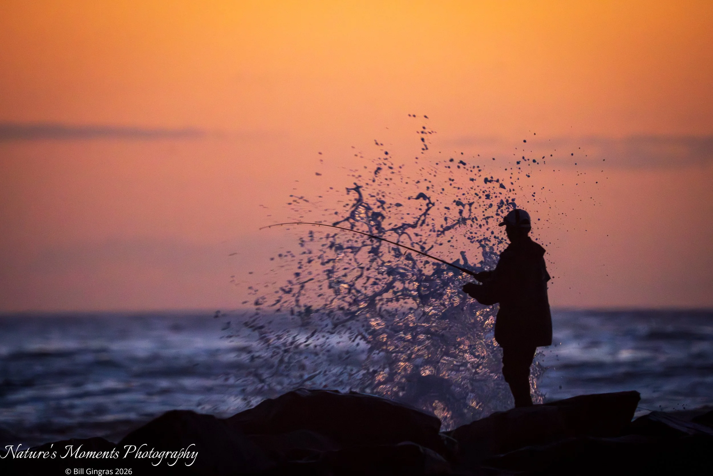 2026-03-14 Landscapes Sunscapes NSB Dunes FL-1.jpg