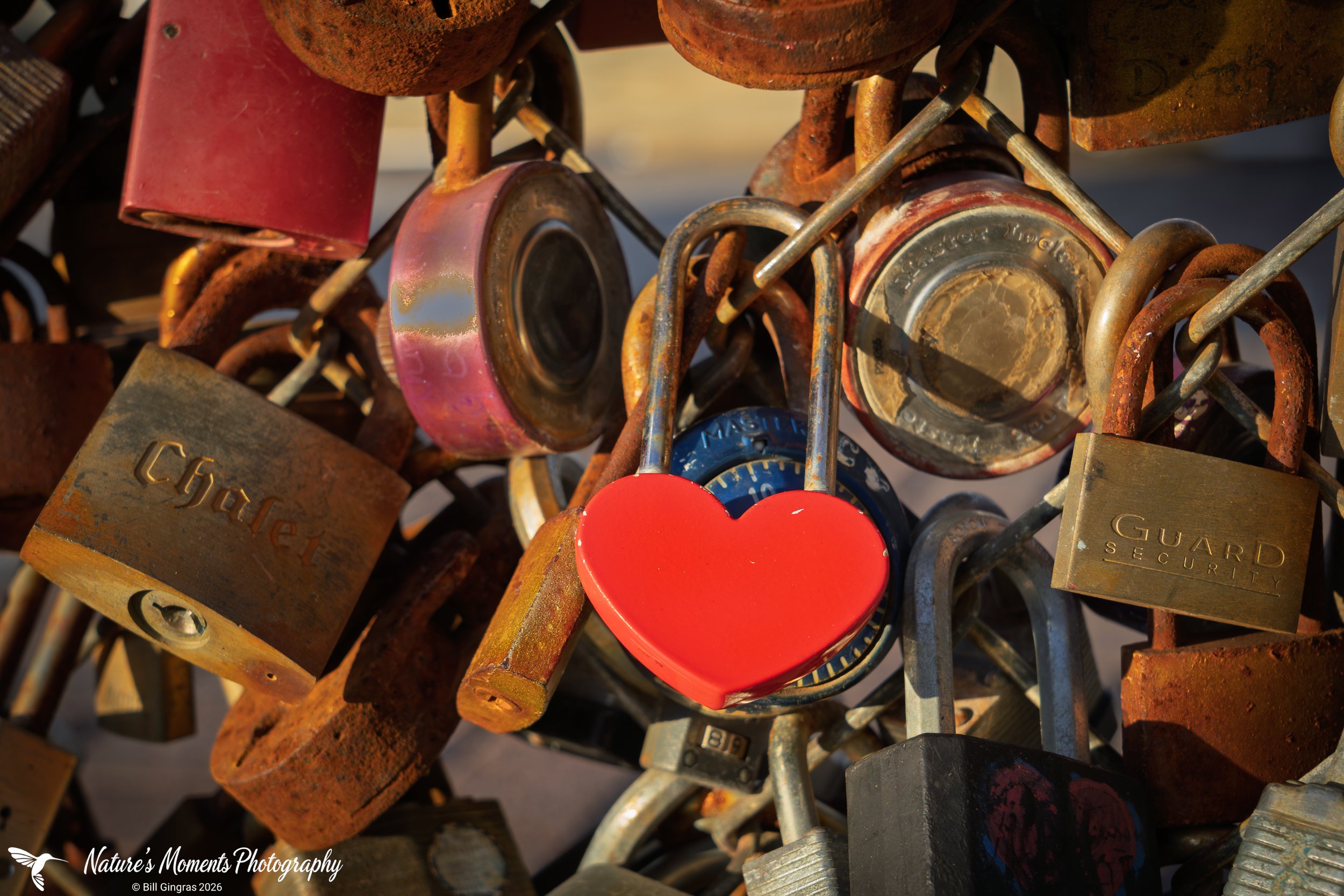 2026-09-20 Landscapes Coastal Love Locks Portland ME-1.jpg