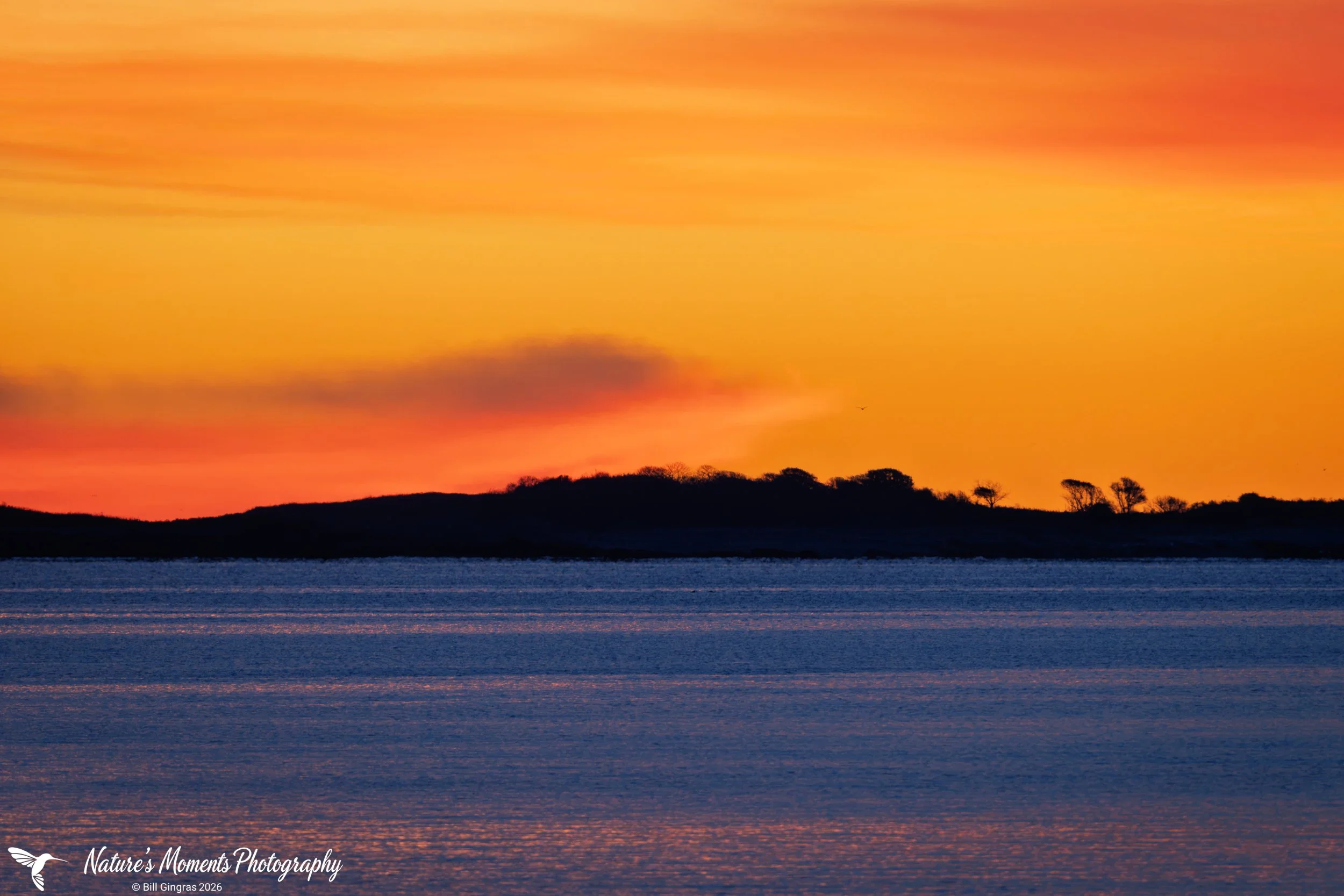 2026-10-11 Landscapes Sunscapes OOB ME-1.jpg