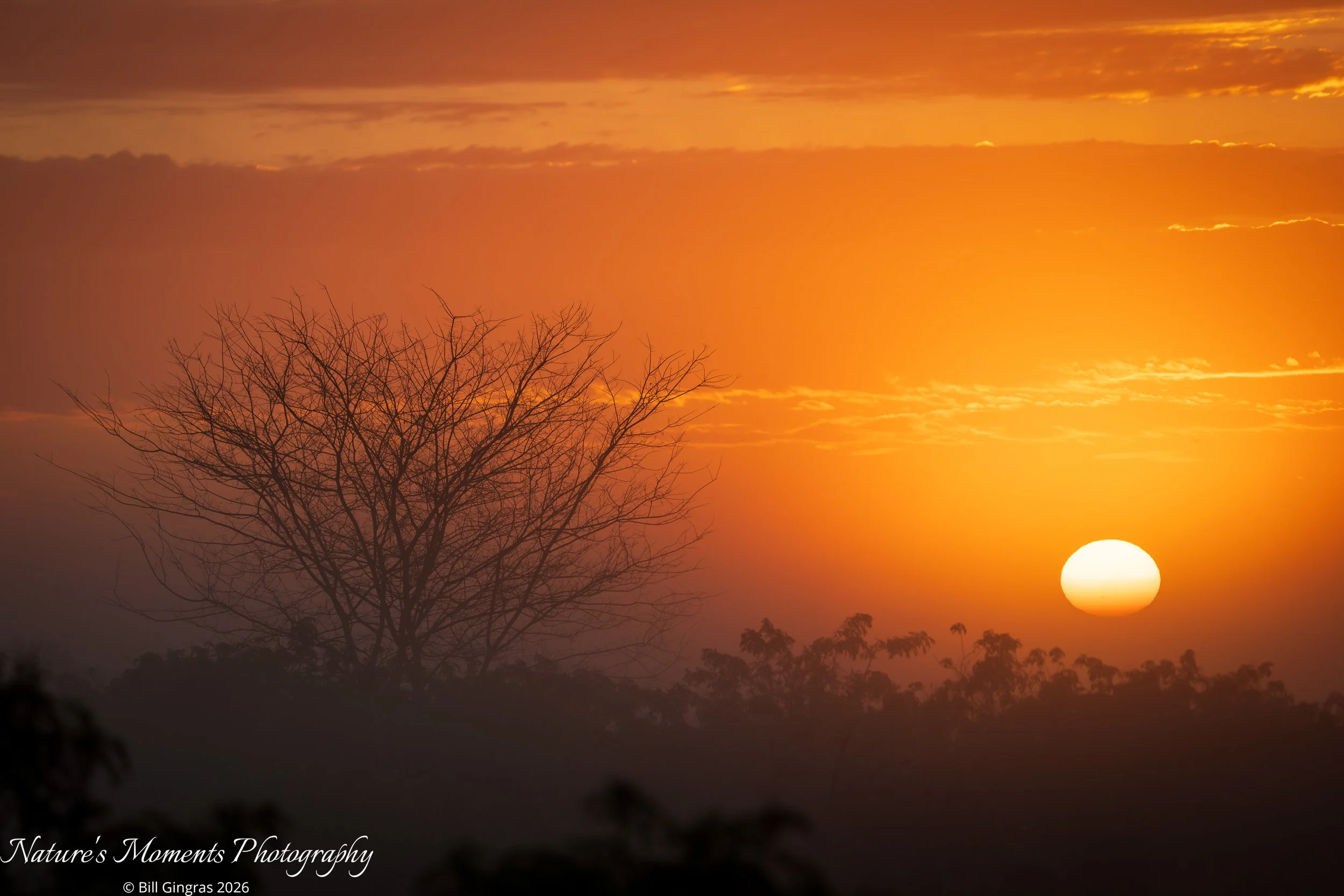 2026-01-23 Landscapes Sunscapes Apopka FL-1.jpg