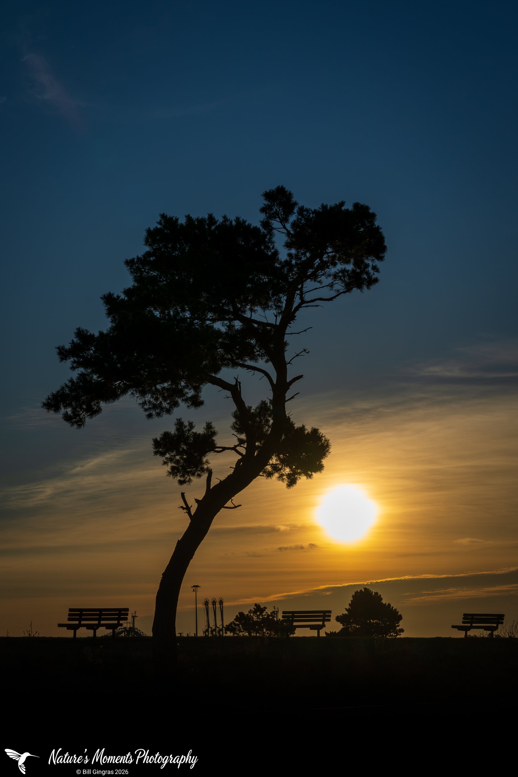2026-09-25 Landscapes Sunscapes Bug Light Park  ME-1.jpg