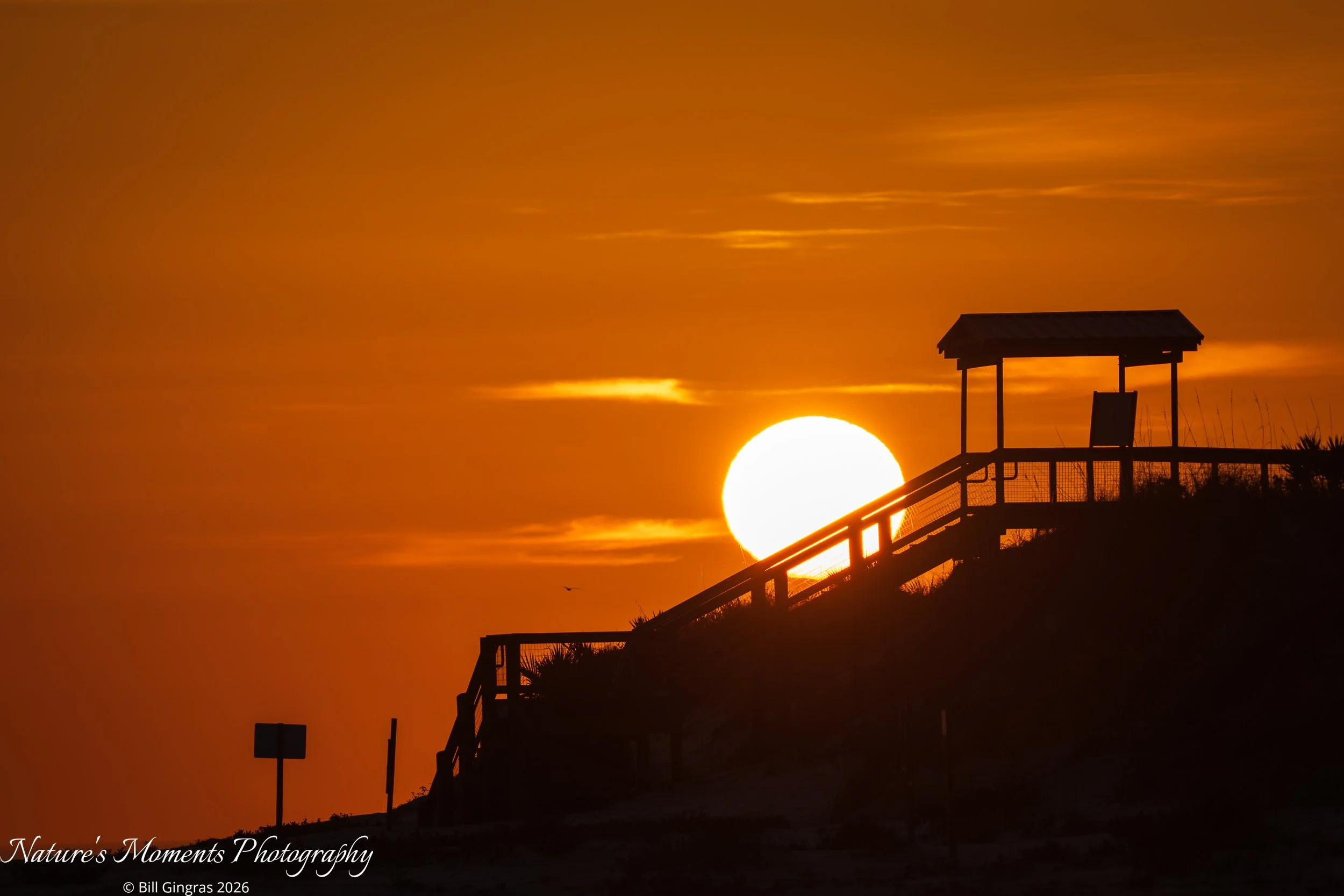 2026-02-20 Landscapes Sunscapes NSB Dunes FL-1.jpg