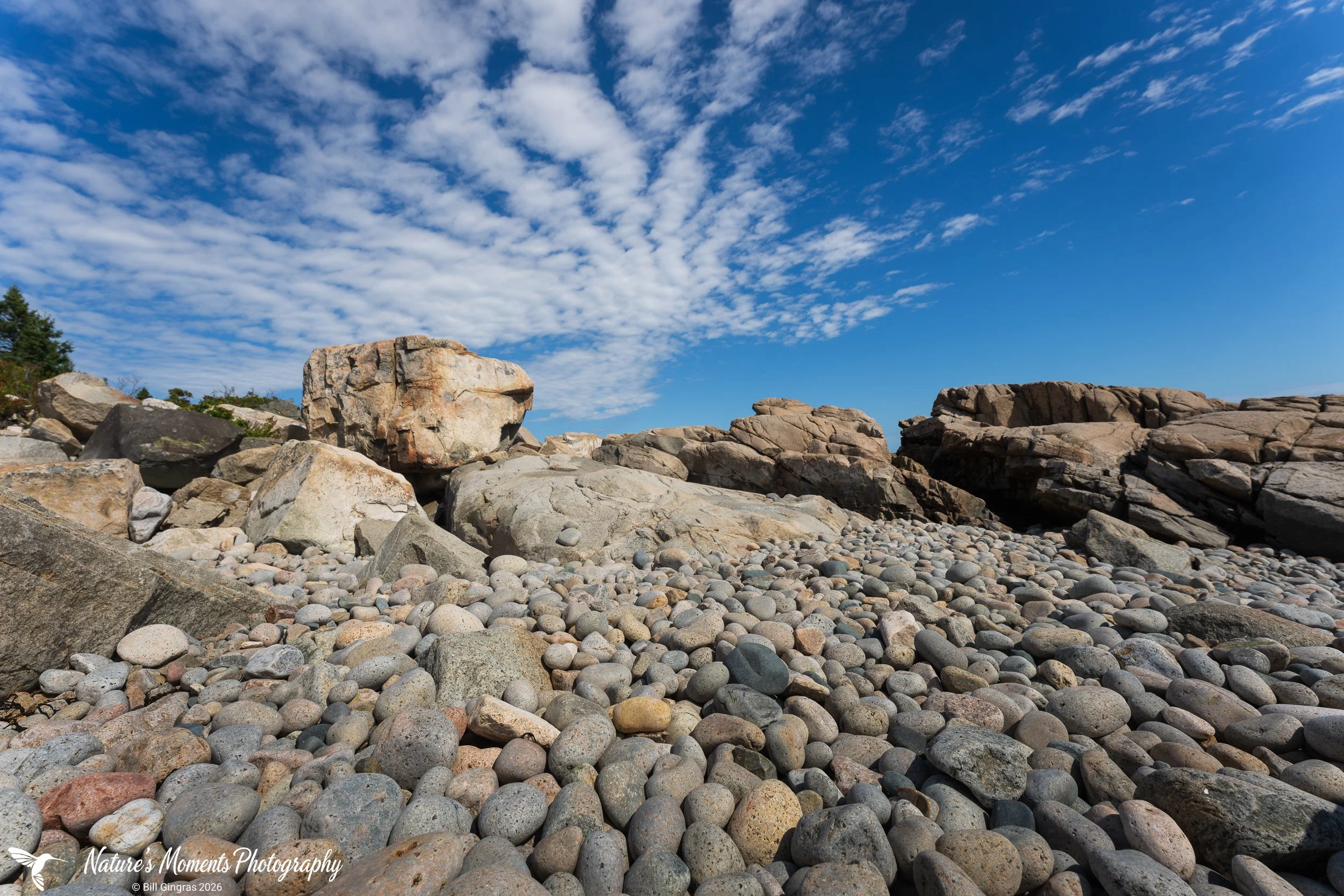 2026-09-16 Landscapes Coastal Schoodic Penisula ME-3.jpg