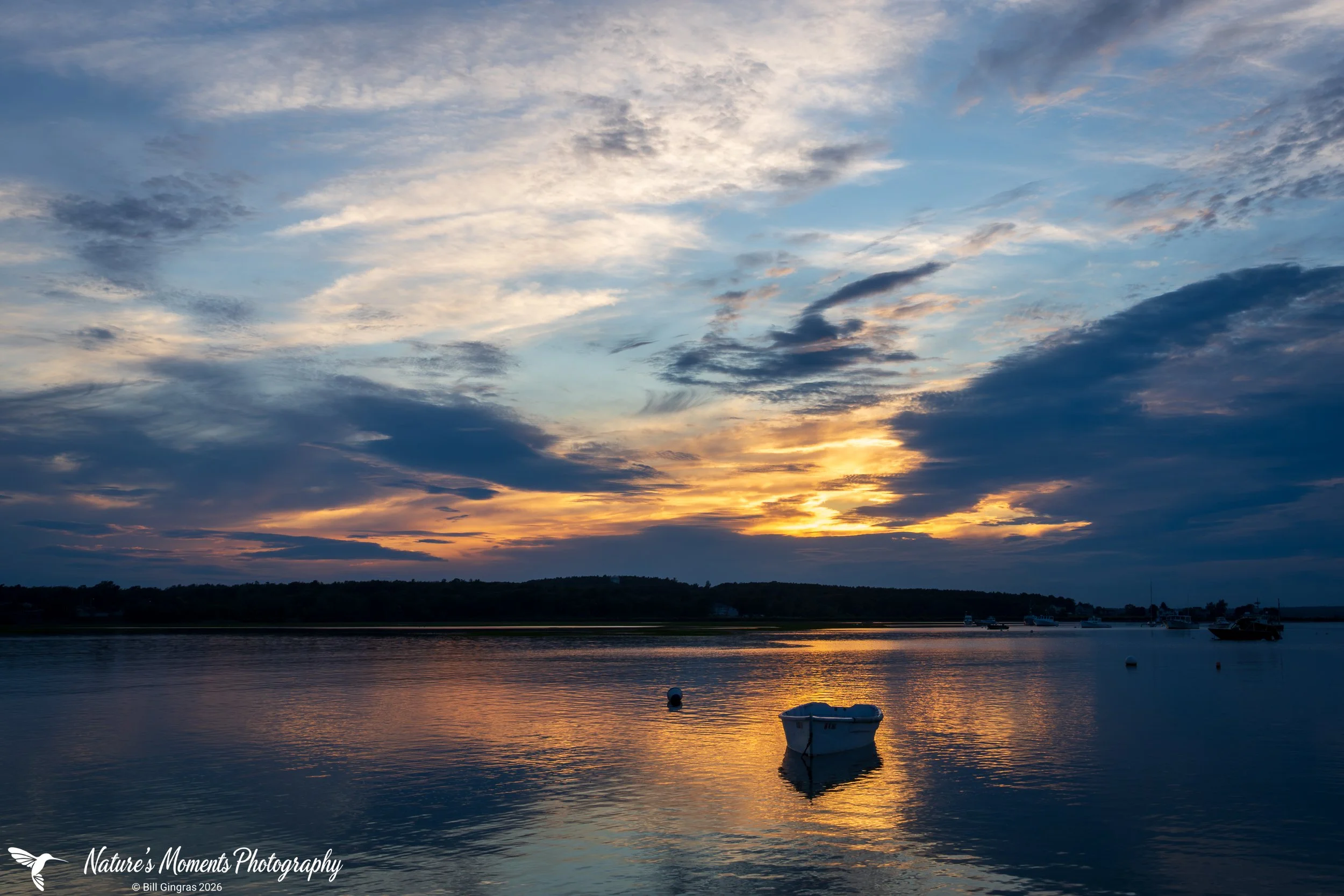 2026-06-25 Landscapes Sunscapes Pinepoint ME-1.jpg