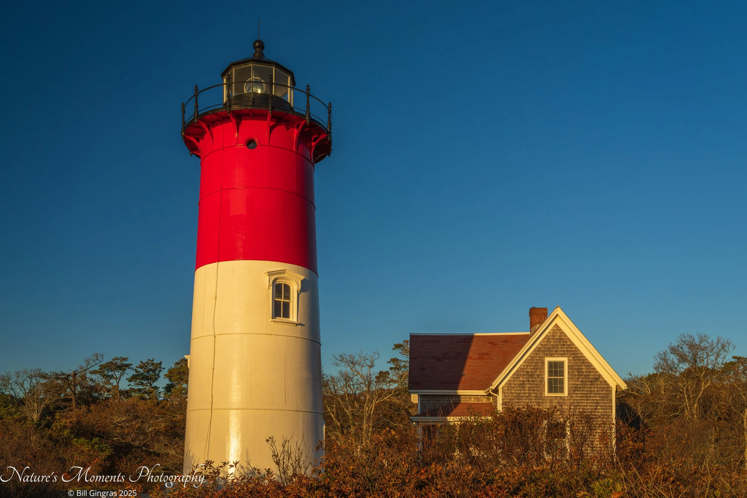 2025-10-26 Landscapes Coastal Lighthouse Caope Code MA-1.jpg