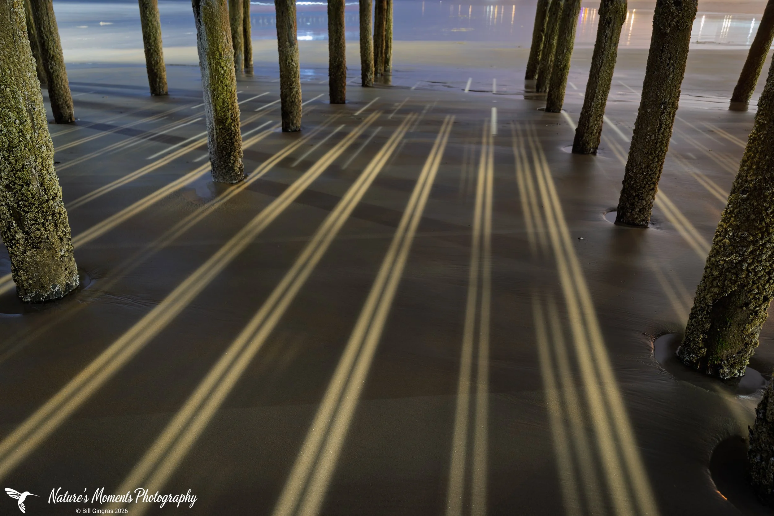 2026-08-28 Landscapes The Pier OOB ME-1.jpg