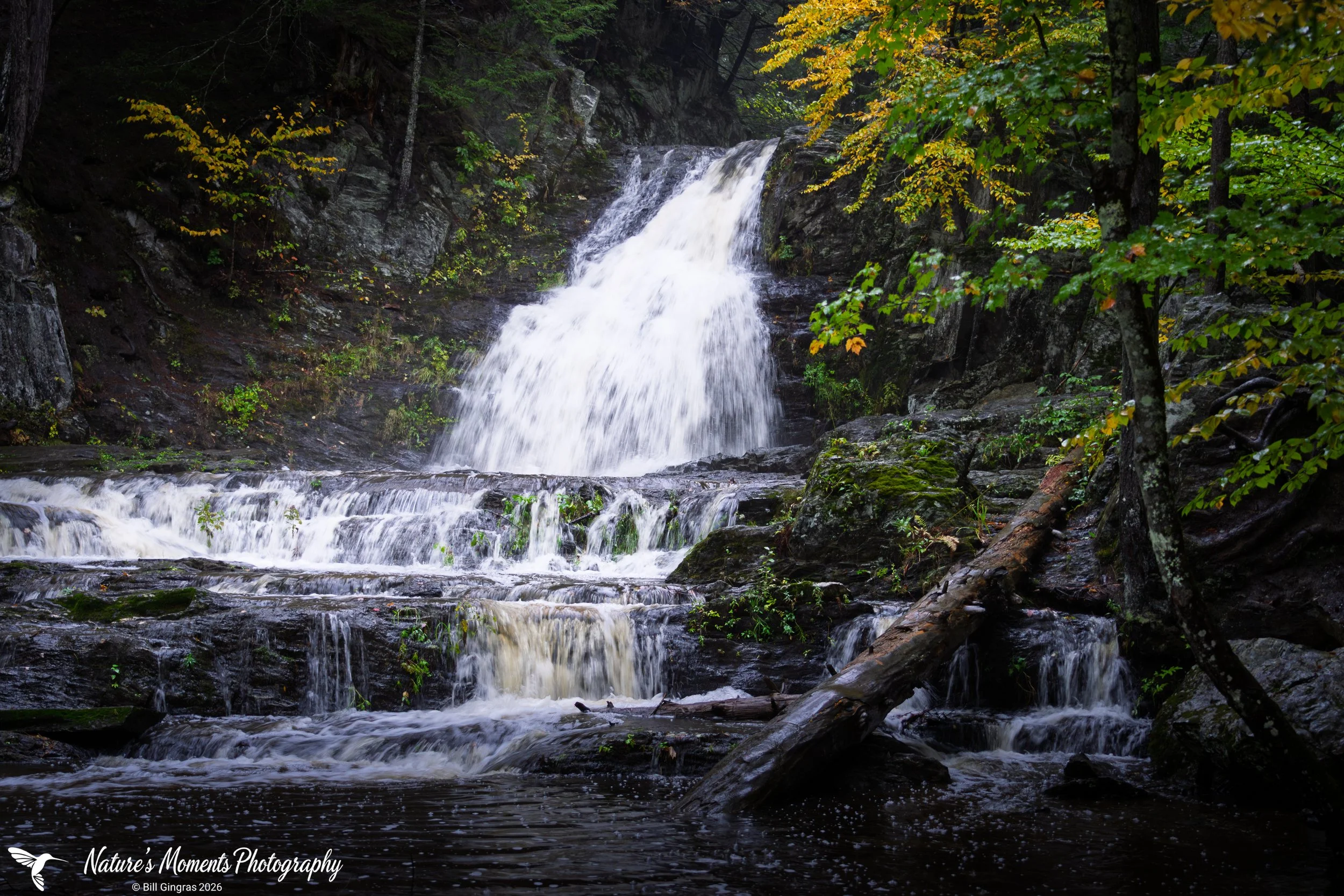 2026-09-28 Landscapes Cascade Falls Scarborough ME-1.jpg