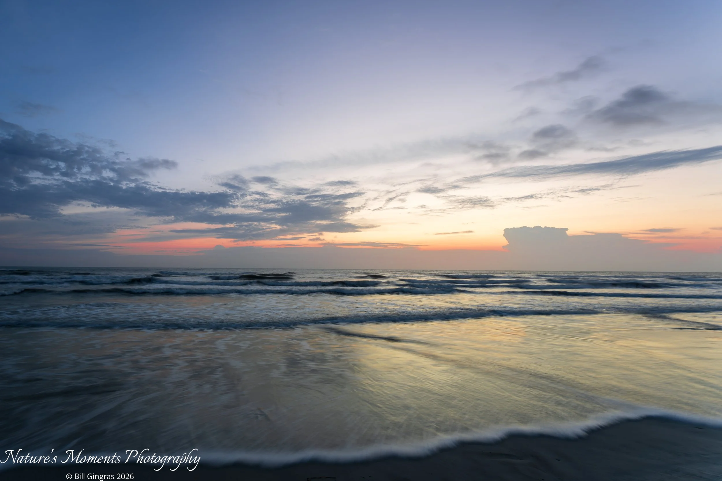 2026-03-16 Landscapes Coastal Dunes NSB FL-1.jpg