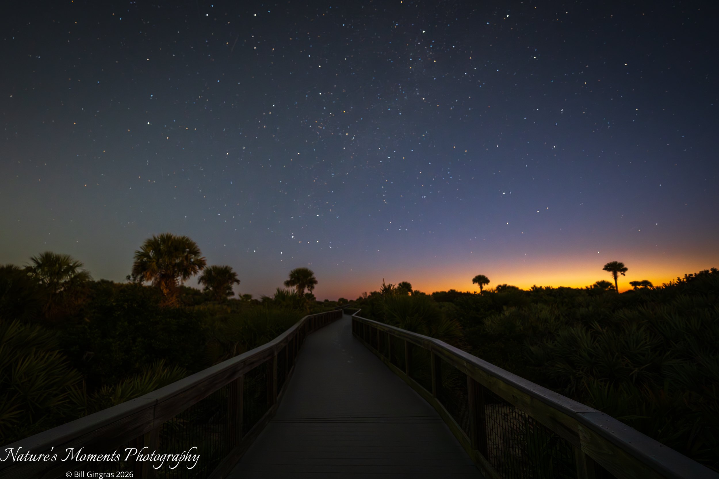 2026-03-223 Landscapes Nightscapes Boardwalk NSB Dunes FL-1.jpg