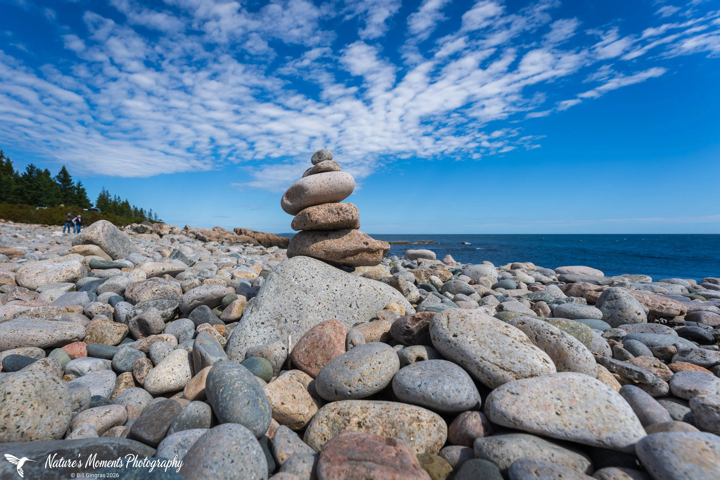 2026-09-16 Landscapes Coastal Schoodic Peninsula ME-1.jpg