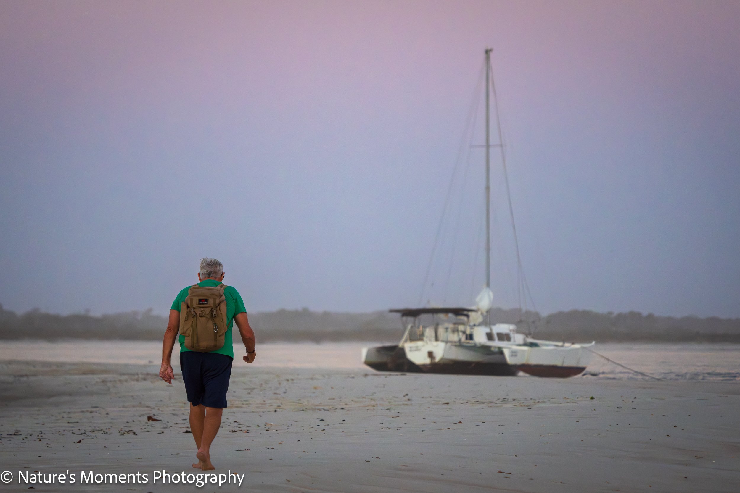 2026-03-05 Landscapes Coastal NSB Dunes FL-1.jpg