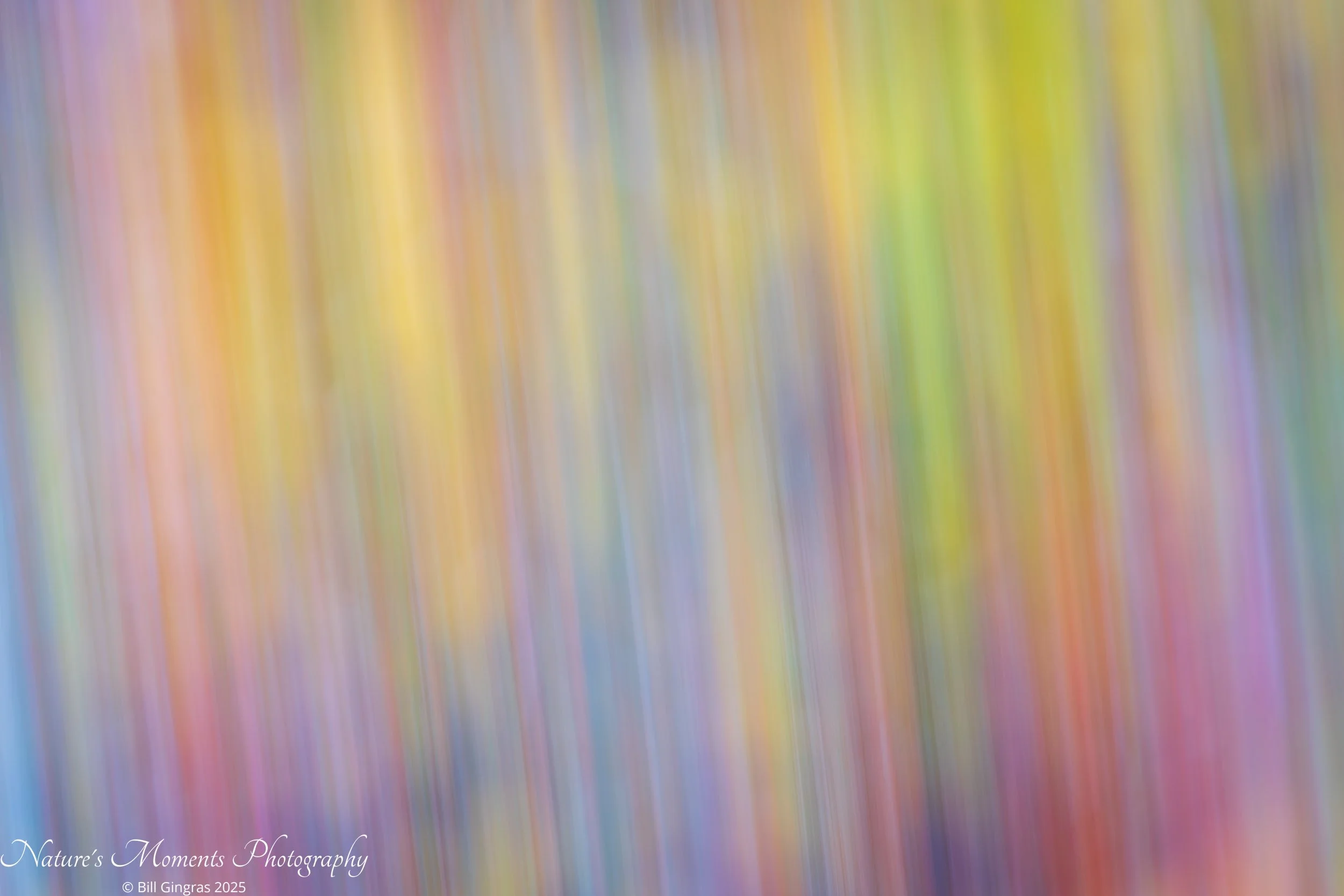 2025-10-24 Abstracts OOB ME-1.jpg