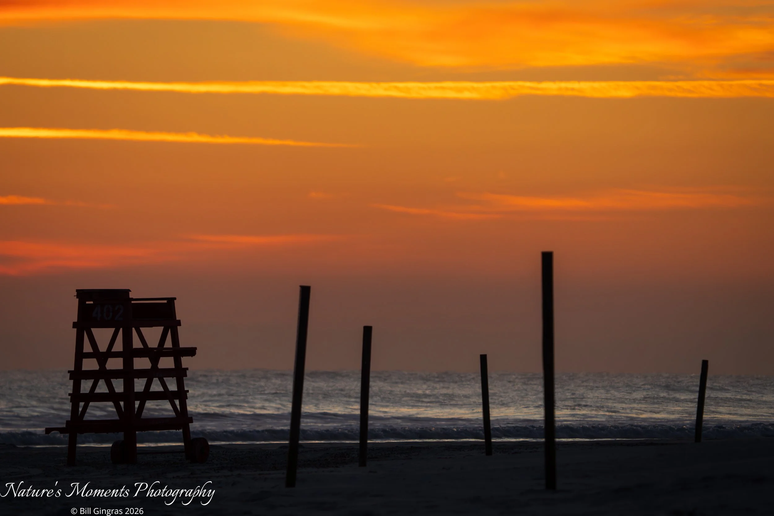 2026-02-03 Landscapes Sunscapes NSB FL-1.jpg